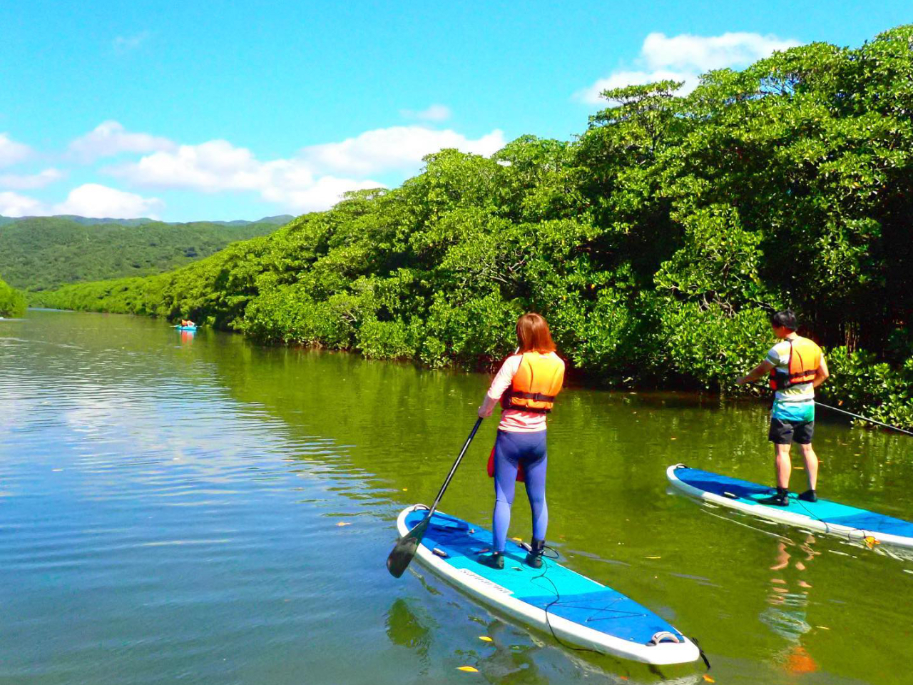 西表島の大自然を感じるマングローブSUP(サップ)体験