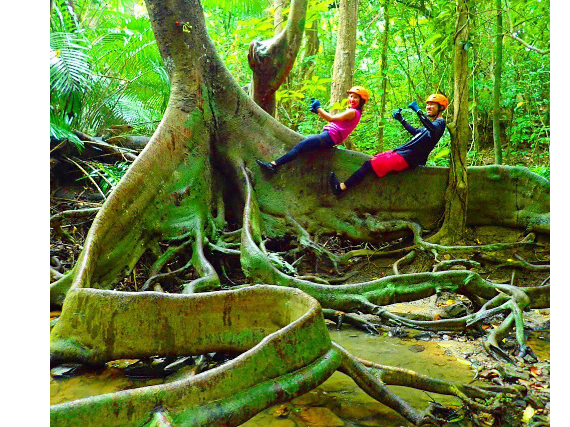 リアルジャングルトレッキング・西表島トレッキングツアー