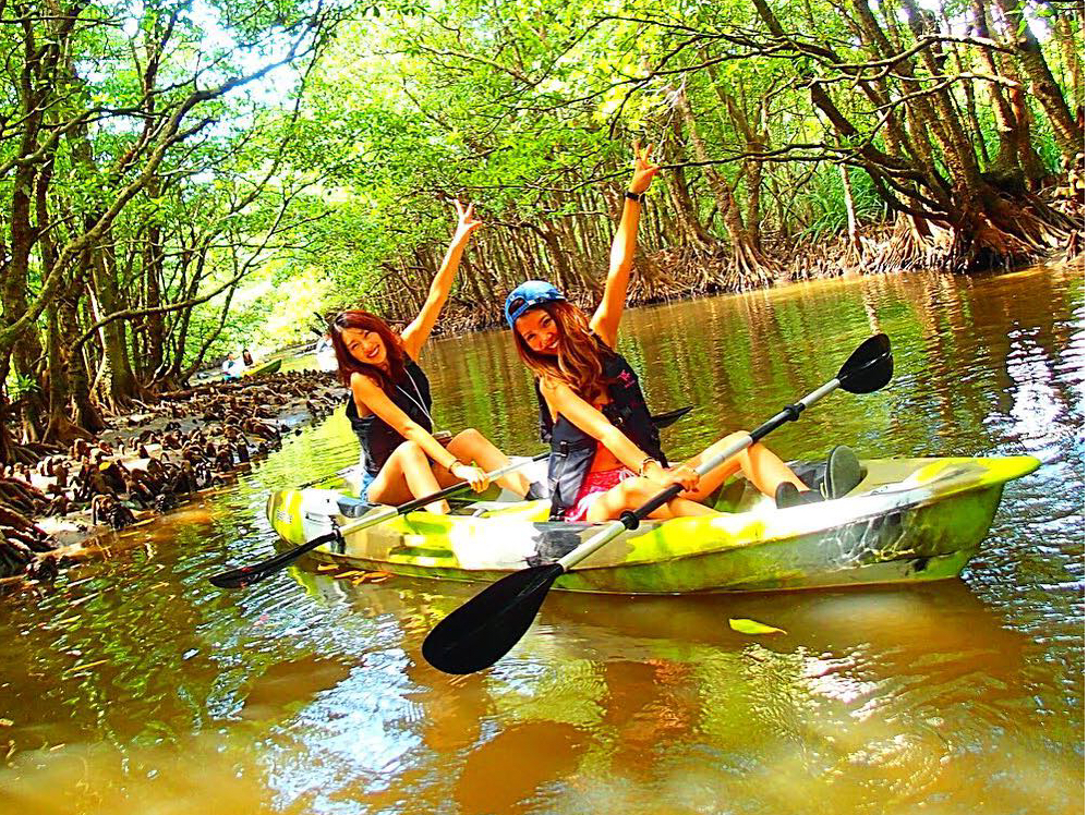 マングローブの森をのんびりカヌーで漕いで秘境パワースポットへ!西表島カヌーツアー