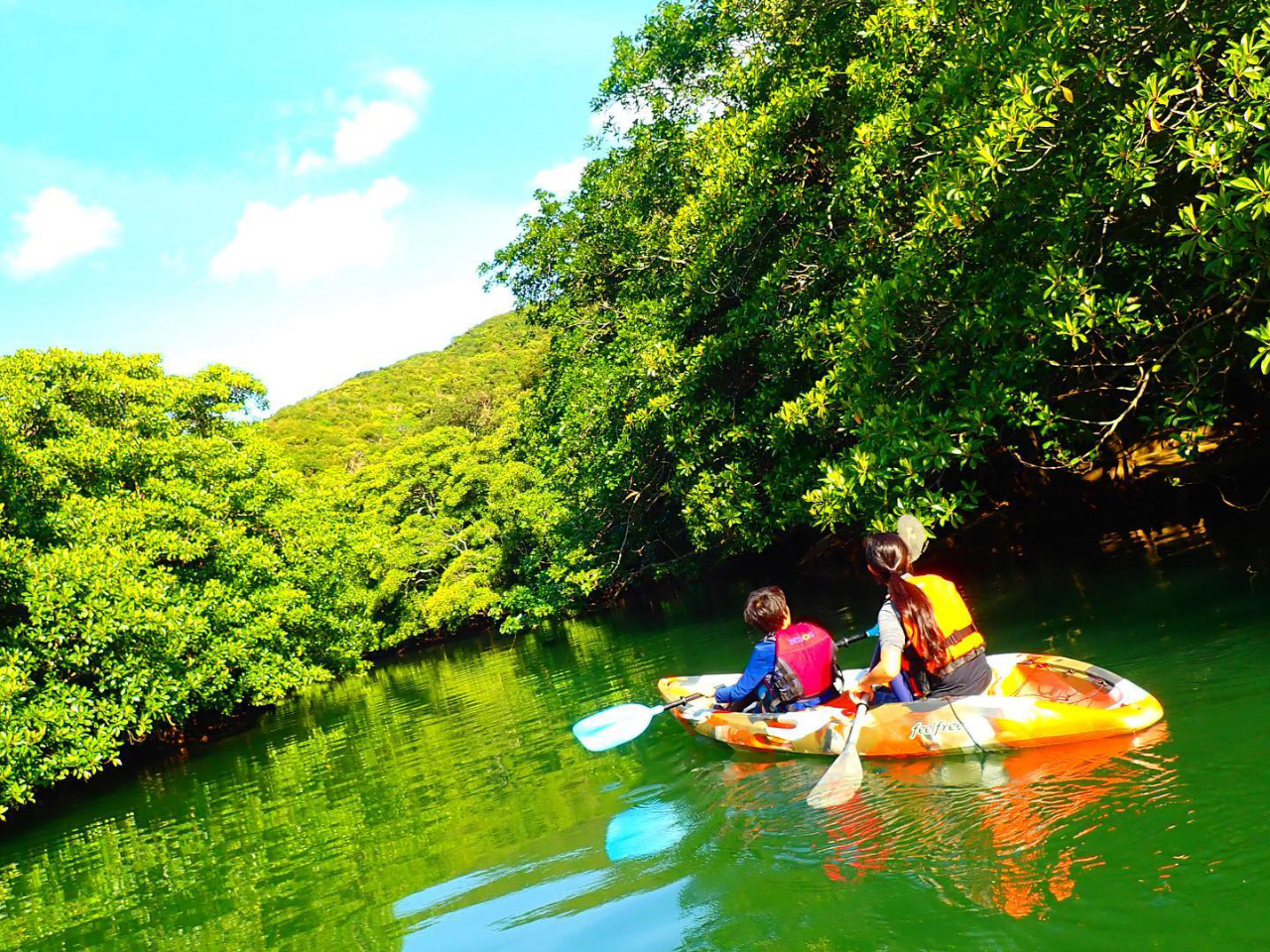 青空の下で誰でも楽しめるマングローブカヌー体験・西表島カヌーツアー