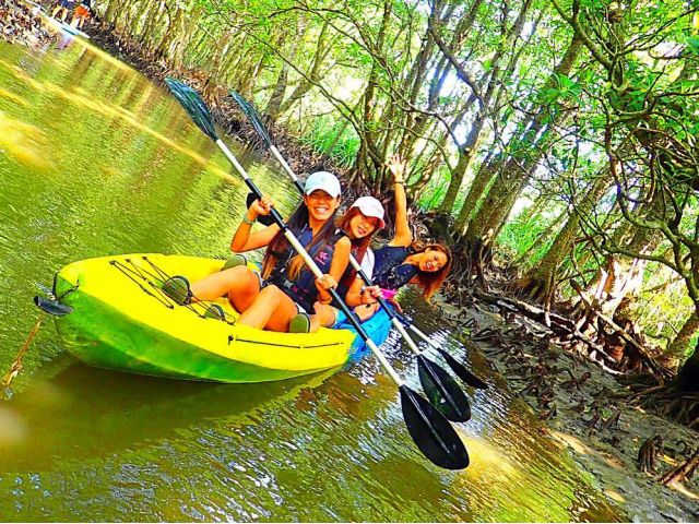 世界遺産 西表島・半日】大自然を満喫!仲間川マングローブカヌー秘境 ...