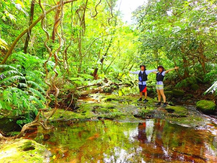 t̃AWOgbLOő厩R悤I\gbLOcA[