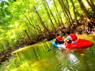 西表島カヌーツアー