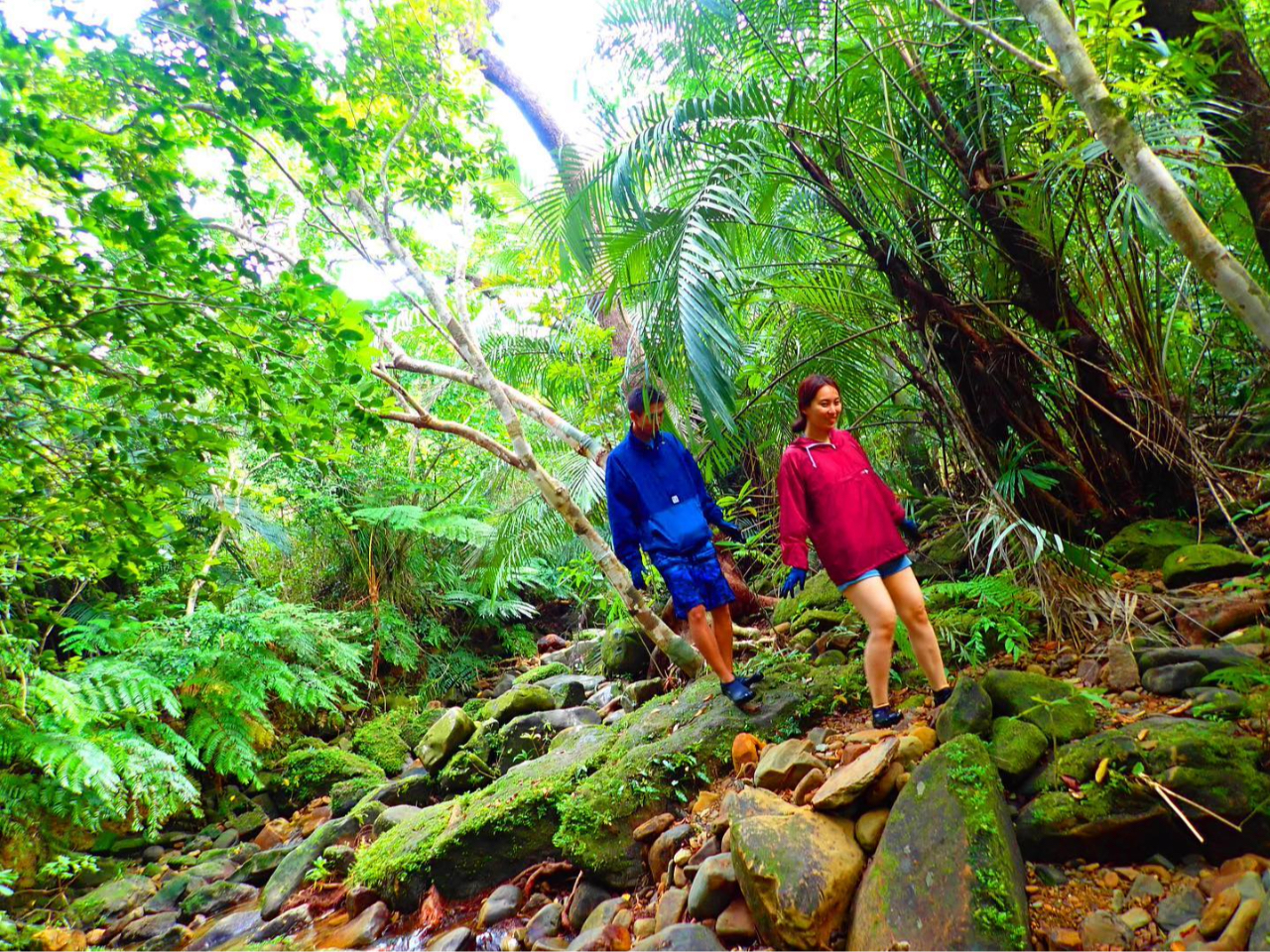 大自然を感じるジャングルトレッキング〜西表島トレッキングツアー