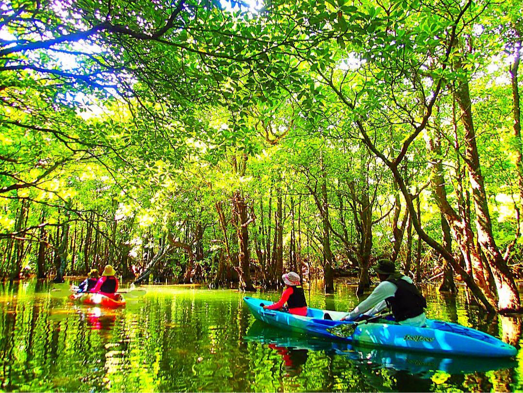 家族で大自然を満喫しよう〜西表島カヌーツアー