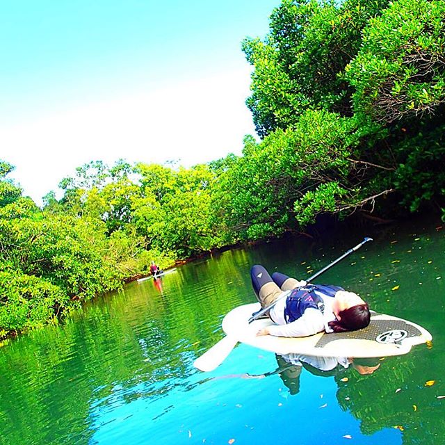 マングローブSUP(サップ)でリラックス〜