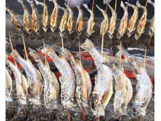 イワナ釣り310円 初心者の方大歓迎 清流にしか生息しない幻の川魚 イワナ 釣りを体験してみませんか いわなの郷 じゃらん遊び体験