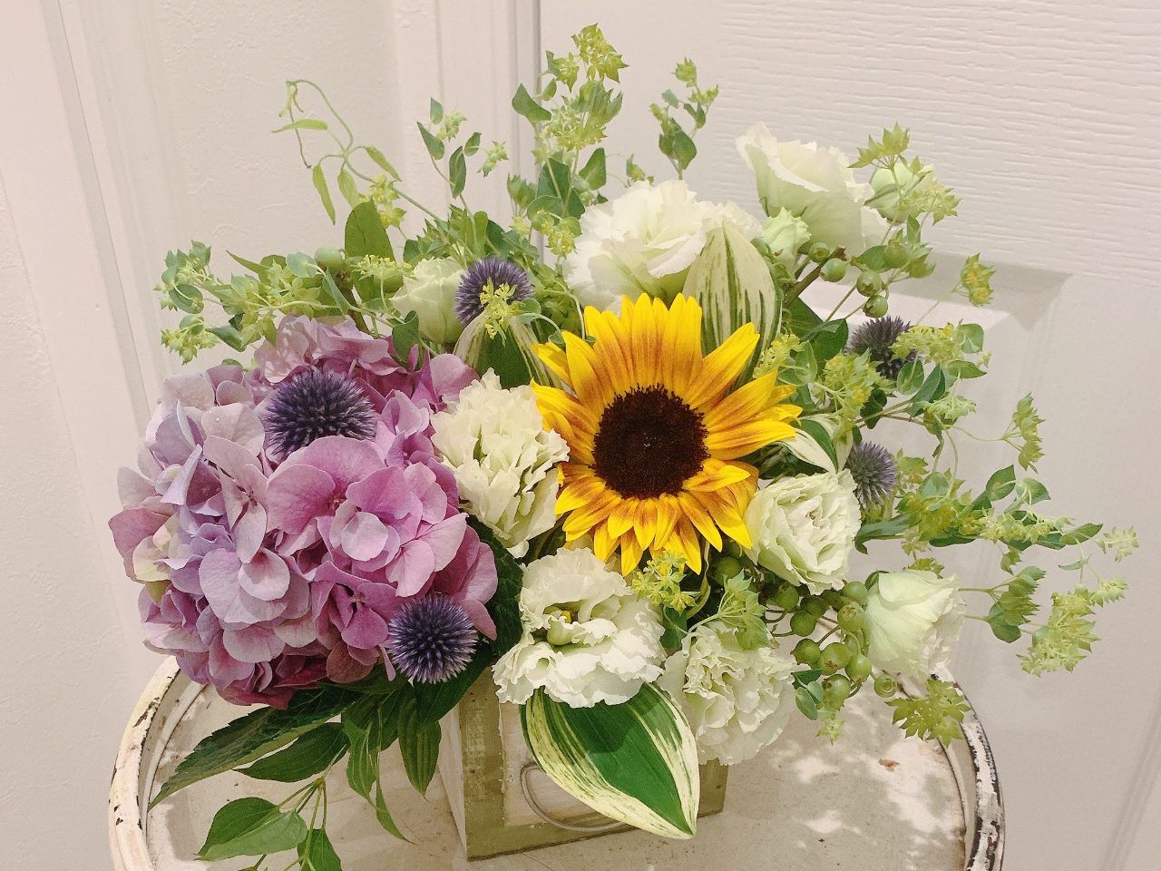 Miu Flower School �����Z�E�V�h�̎ʐ^3