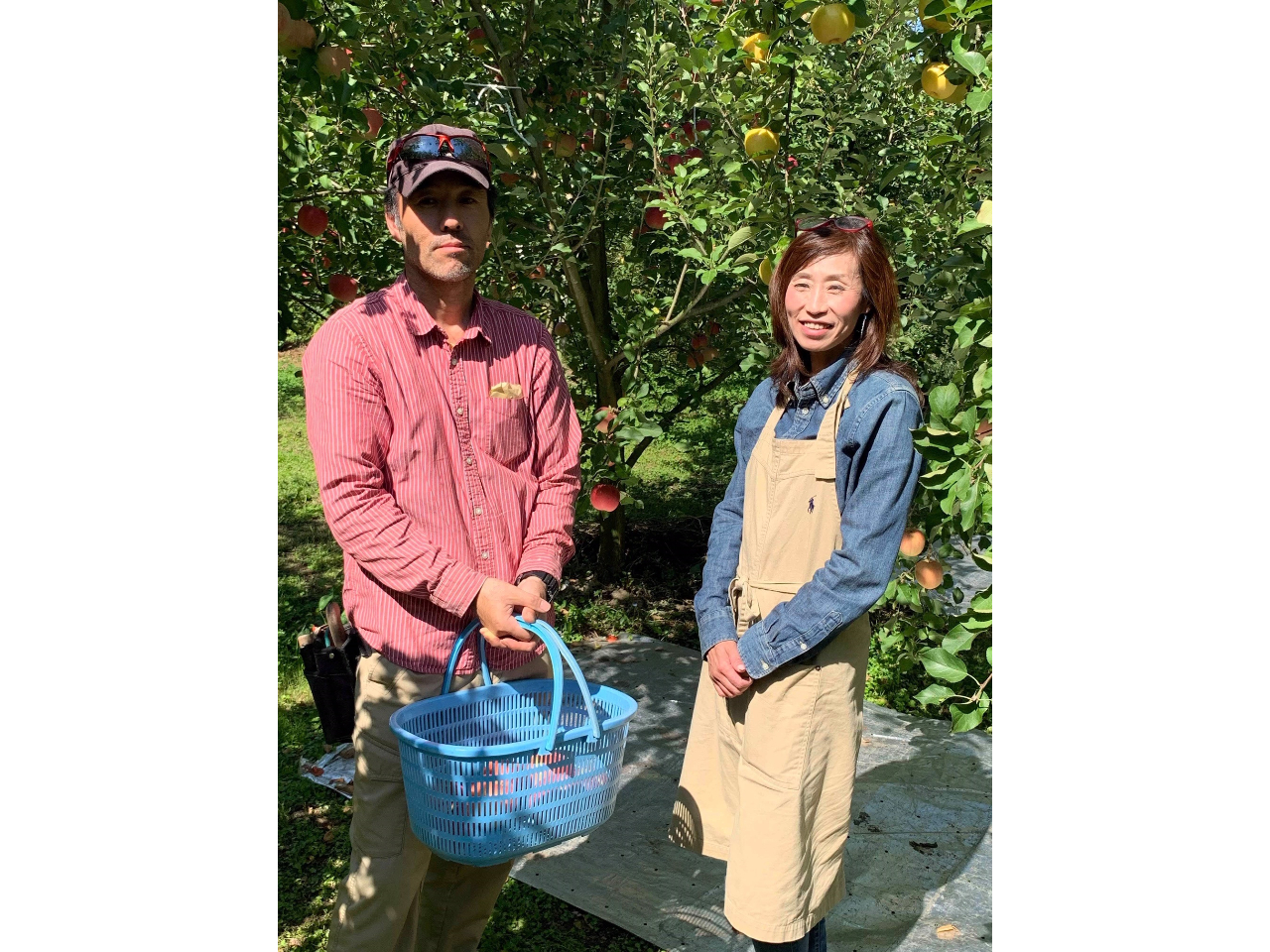 初めまして!藤田観光りんご園です♪皆様のご来園を心よりお待ちしております!お気をつけてお越し下さい!