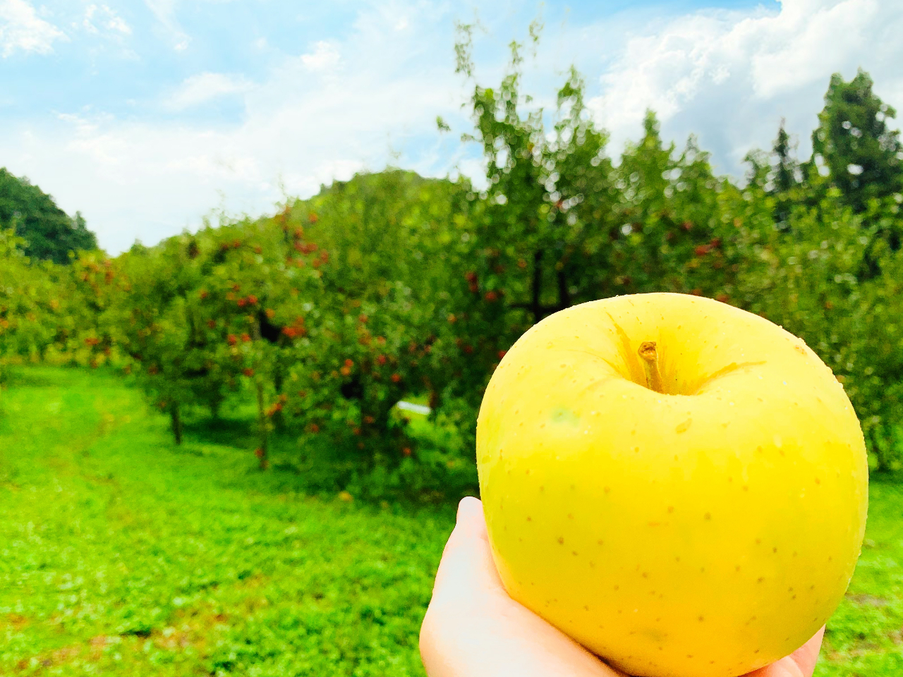ご家族や友人との楽しいひとときを当園でお過ごしください。