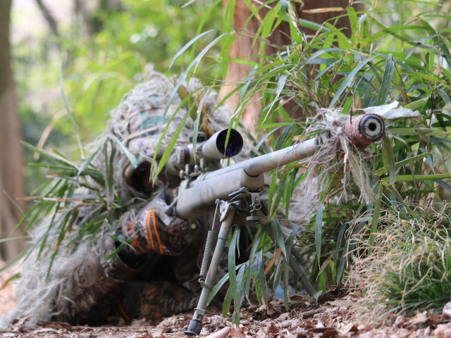 M[X[cŃXiCp[vCy߂܂B