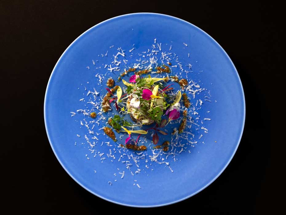 �O�؁F���ꌧ�Y�a���Ɠ����b�L���E�̃^���^���@�K�g�[�d���ā@ �n�j�[�}�X�^�[�h�\�[�X�Ƀ}�C�N���n�[�u�@�����`�F�_�[�`�[�Y�̃A�N�Z���g