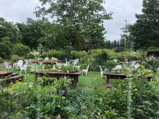 初級ガーデニング講座 お花と庭のお手入れ 楽しくお庭作りの秘訣教えます Flower わたぼうし じゃらん遊び体験 初級ガーデニング講座 お花と庭のお手入れ 楽しくお庭作りの秘訣教えます Flower わたぼうし じゃらん遊び体験