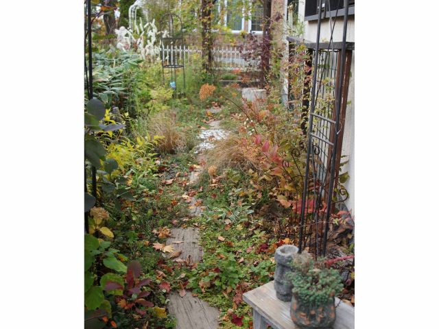 ガーデニング講座 秋のお庭のお手入れレッスン 楽しくお庭作りの秘訣教えます Flower わたぼうし じゃらん遊び体験 ガーデニング講座 秋のお庭のお手入れレッスン 楽しくお庭作りの秘訣教えます Flower わたぼうし じゃらん遊び体験