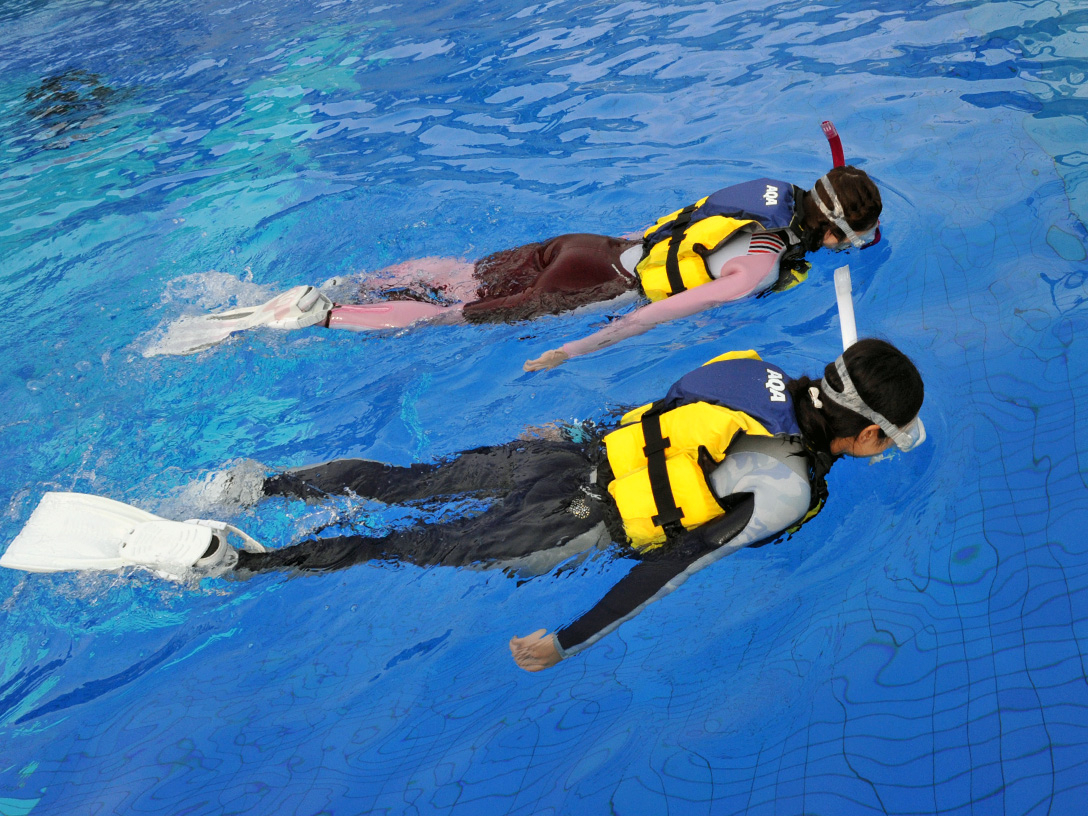 シュノーケリング@伊東♪記念写真付き!海と魚と遊ぼう♪レンタル込・水着とタオルが...