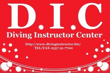 初心者ファンダイブ