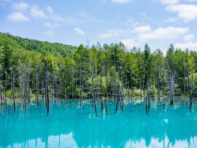 神秘的な青い池 ※画像はイメージです