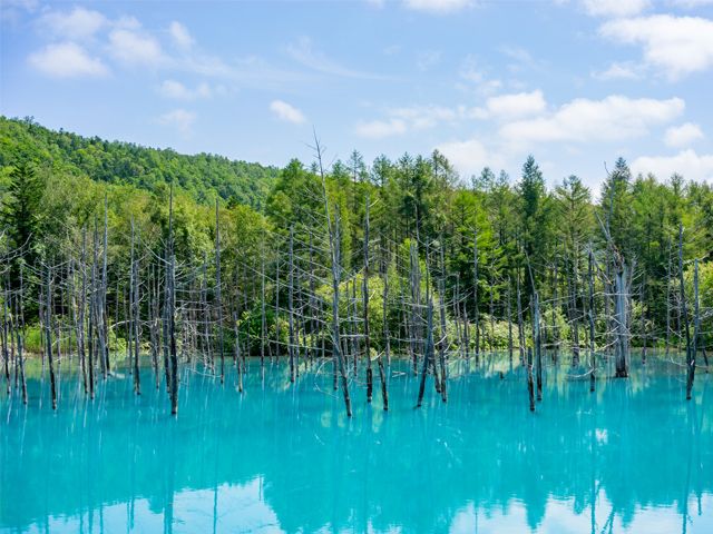 神秘的な青い池   ※画像はイメージです