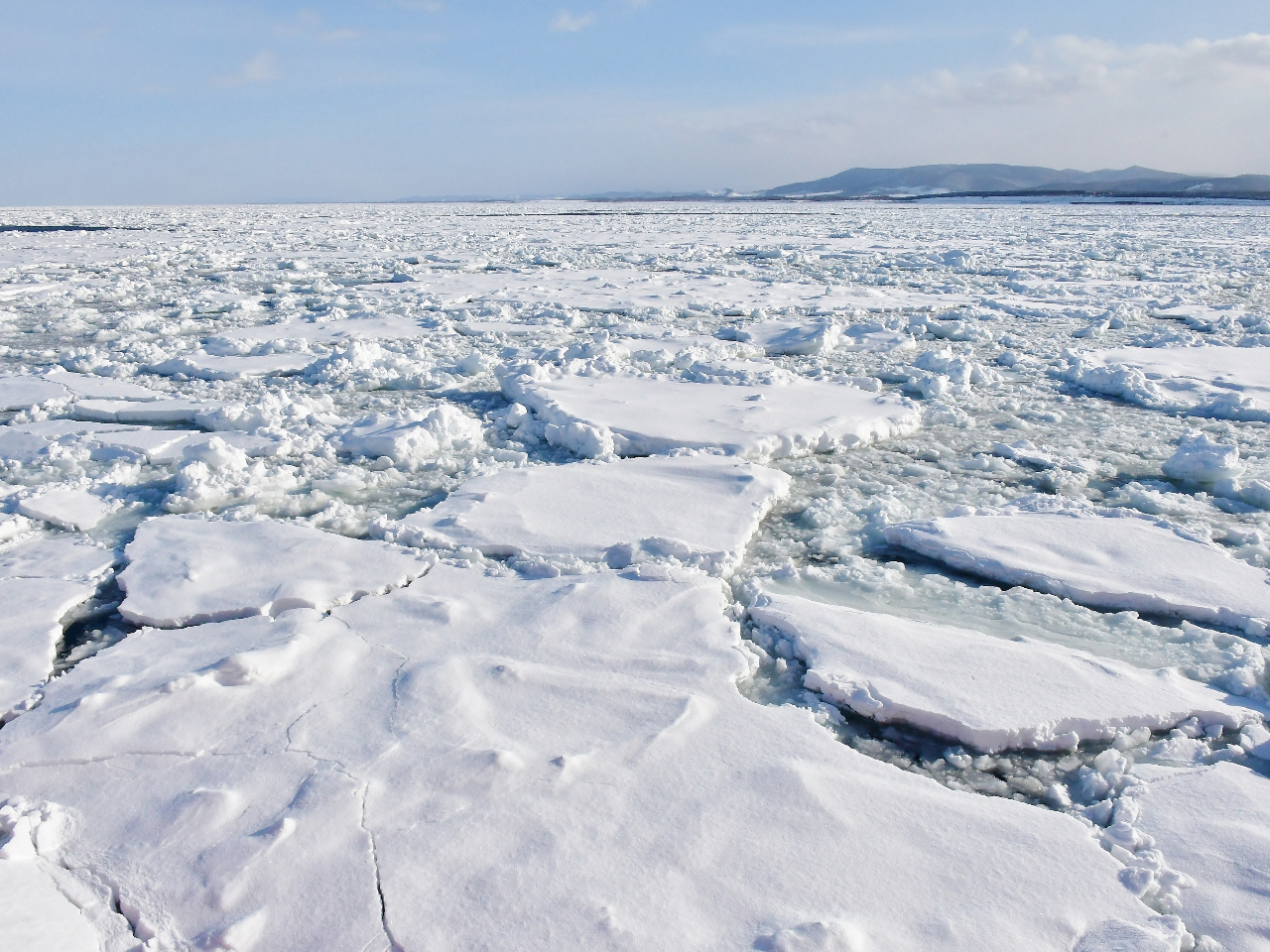 ���̎����̃I�z�[�c�N�Ȃ�ł͂̌i�F�@�@�@�@�@�@�@�@���ʐ^�̓C���[�W�ł�