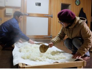 蒸したお米に麹菌をつける作業