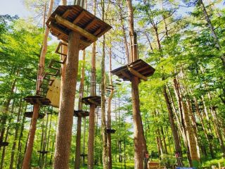 アドベンチャーコースプラン 森の中で本気でアスレチック 空中散歩を楽しもう ファミリー 女性同士 カップルにおすすめ フォレストアドベンチャー 美里 じゃらん遊び体験