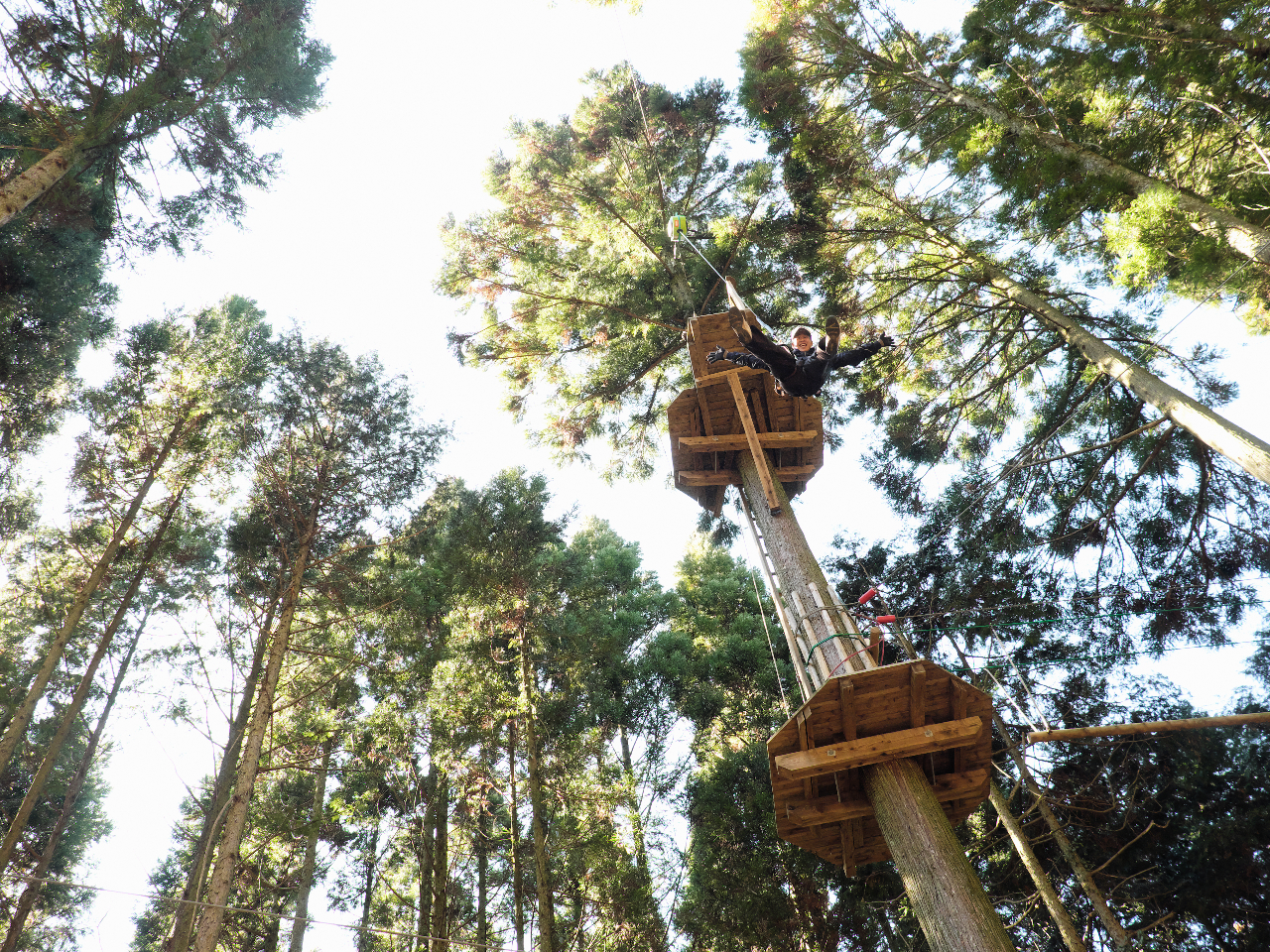 X_II⋩nANeBreB@~mVV[gII15m̐