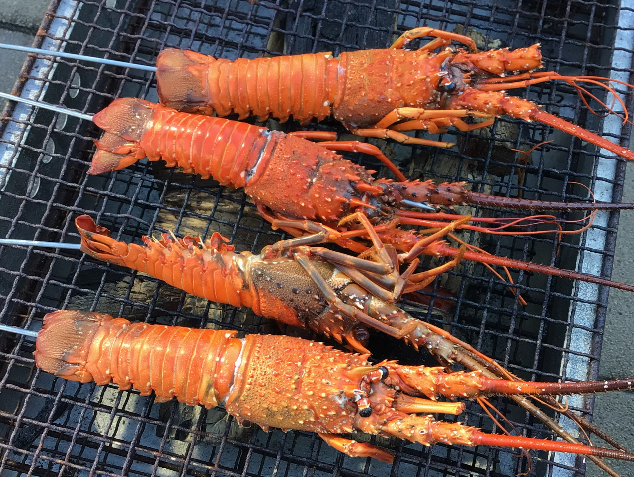 ނĂȀŒYΏĂɂĂオ肢܂I