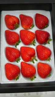 ���y�Y�②���p�ɂ��ǂ�����