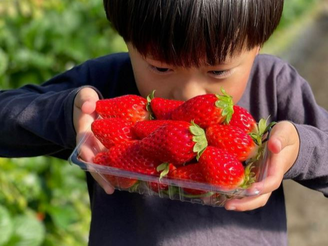 ���܂��đ傫�Ȃ���������p���Ă��܂���