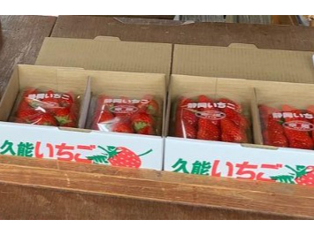 静岡久能の『石垣』いちご狩りゆったり60分！丹精込めて作った甘くて