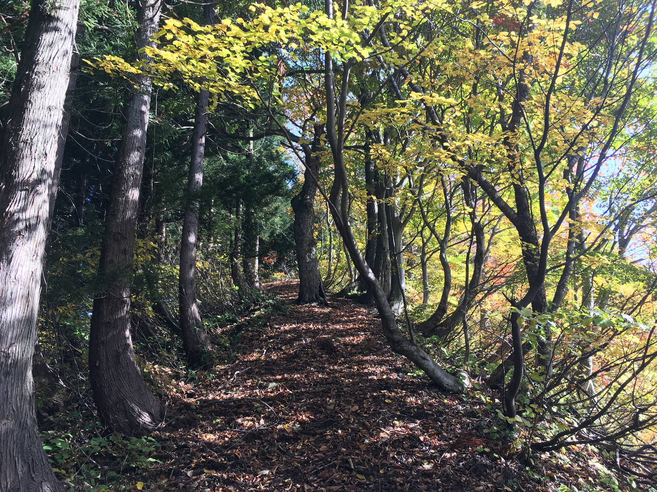 季節によって様々な表情の景色を楽しめます。