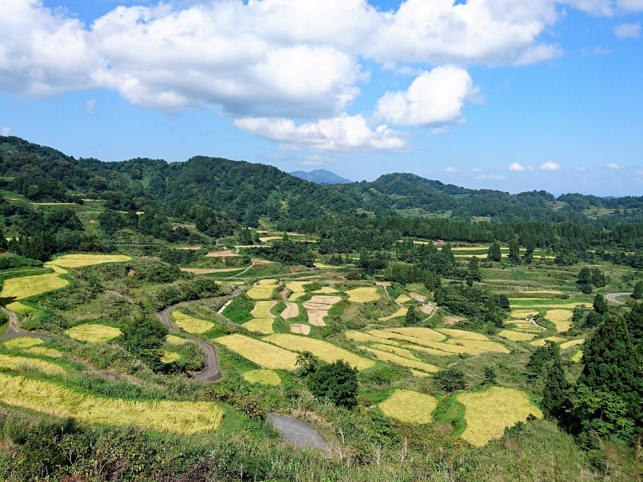 G߂ɂėlXȕ\̌iFy߂܂B