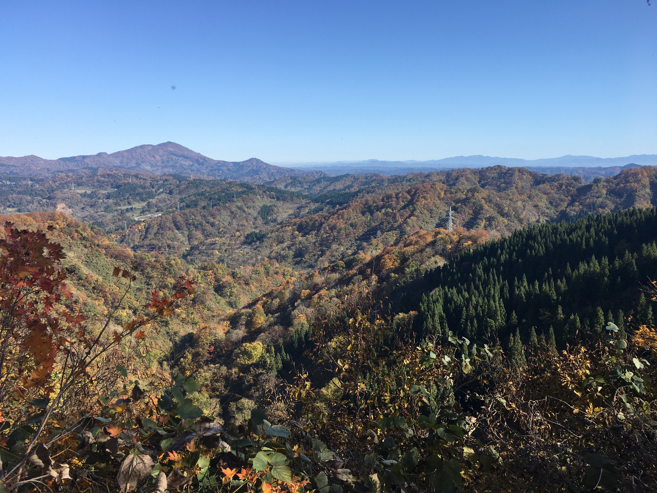 G߂ɂėlXȕ\̌iFy߂܂B