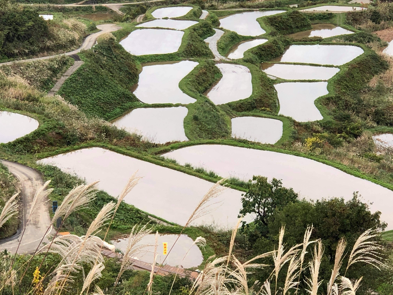 G߂ɂėlXȕ\̌iFy߂܂B