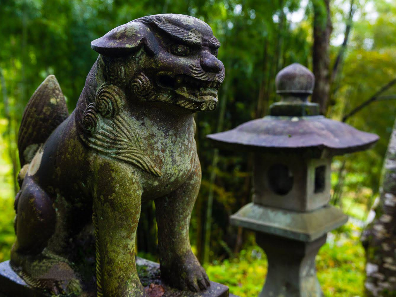 Ół́ARłȂj邱Ƃłł傤B