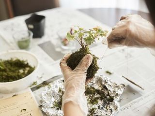 土日 京都御所すぐ 苔玉作り体験 京都らしさがぎゅっと詰まったここでしか作れない生命花手毬 ご家族みんなで カップルで フラワーショップ 花工房 じゃらん遊び体験 土日 京都御所すぐ 苔玉作り体験 京都らしさがぎゅっと詰まったここでしか作れない生命花手毬 ご家族みんなで カップルで フラワーショップ 花工房 じゃらん遊び体験
