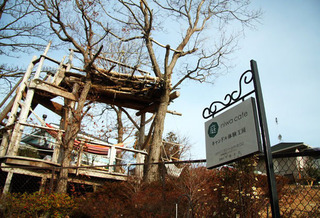 お気軽にお越しください♪