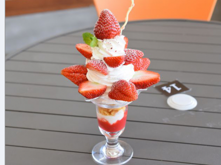 ���R���c���[�������p�t�F��