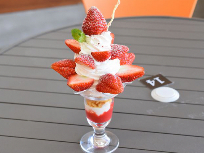 ���R���c���[�������p�t�F��