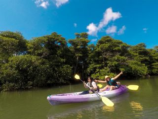 天然記念物に指定されたヒルギ林(マングローブ)を冒険しよう!