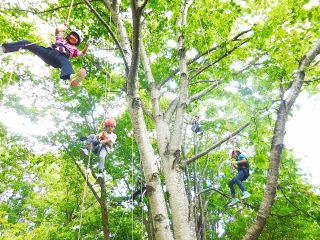 ツリーイングは近代的木登り体験!いわば木のクライミングで、小学1年生のお子様から大人の方まで楽しめます。