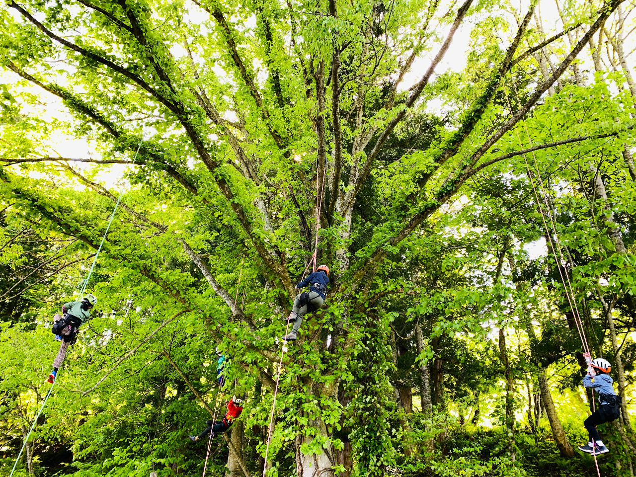 ͂Ŗ؂ɂ̂ڂƁA̍xyIž╗CłB