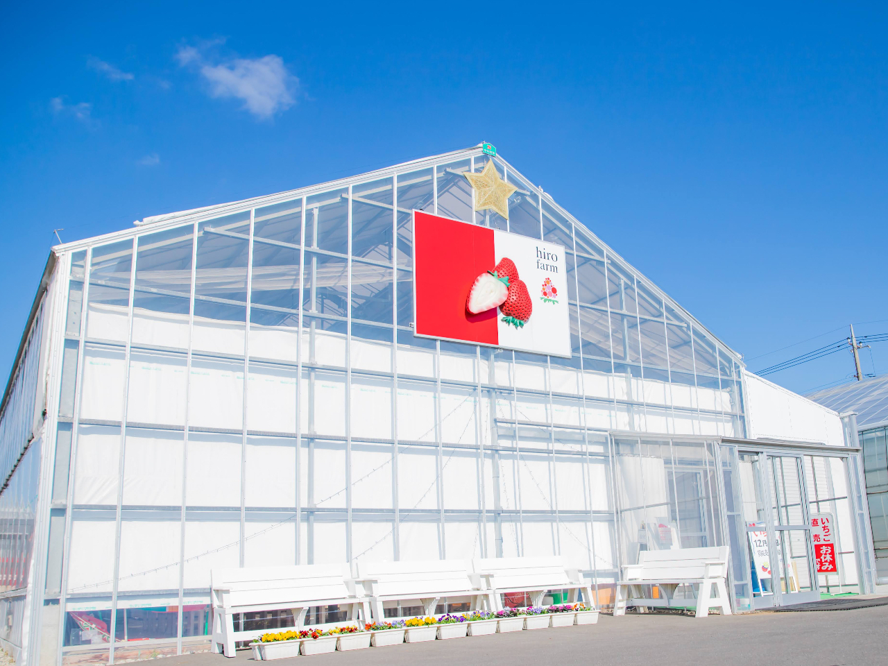 �����炪�����ł��B