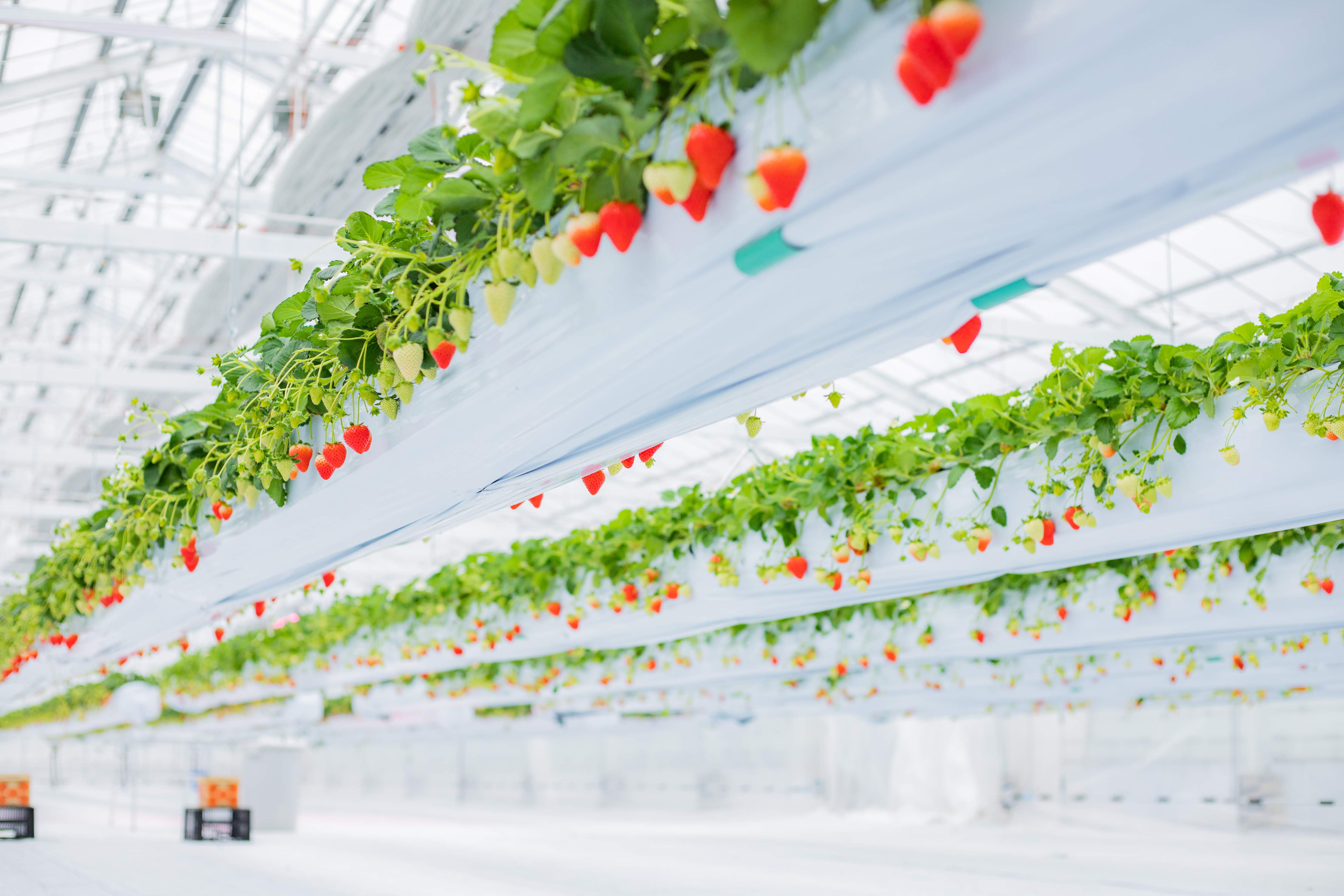 2022�N1����肢��������p�n�E�X���g�債�܂����B�Y��Ȏ{�݂Ŕ����������n�����������y���݉�������