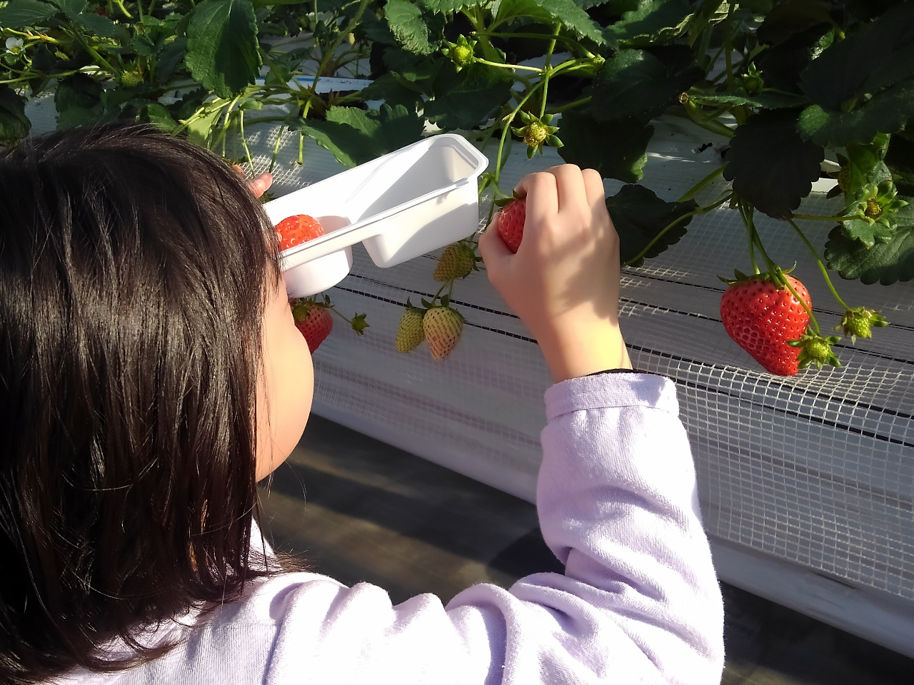 @@@@@@@@@@@@@@@@AłƂI