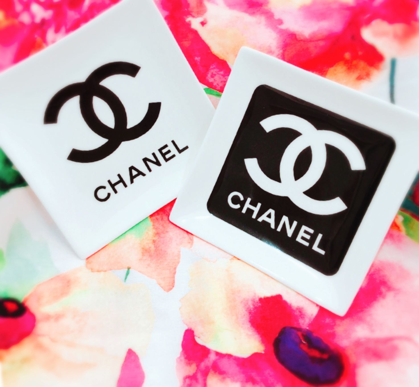 ANZT[P[XƂĂCeAƂ̑QI