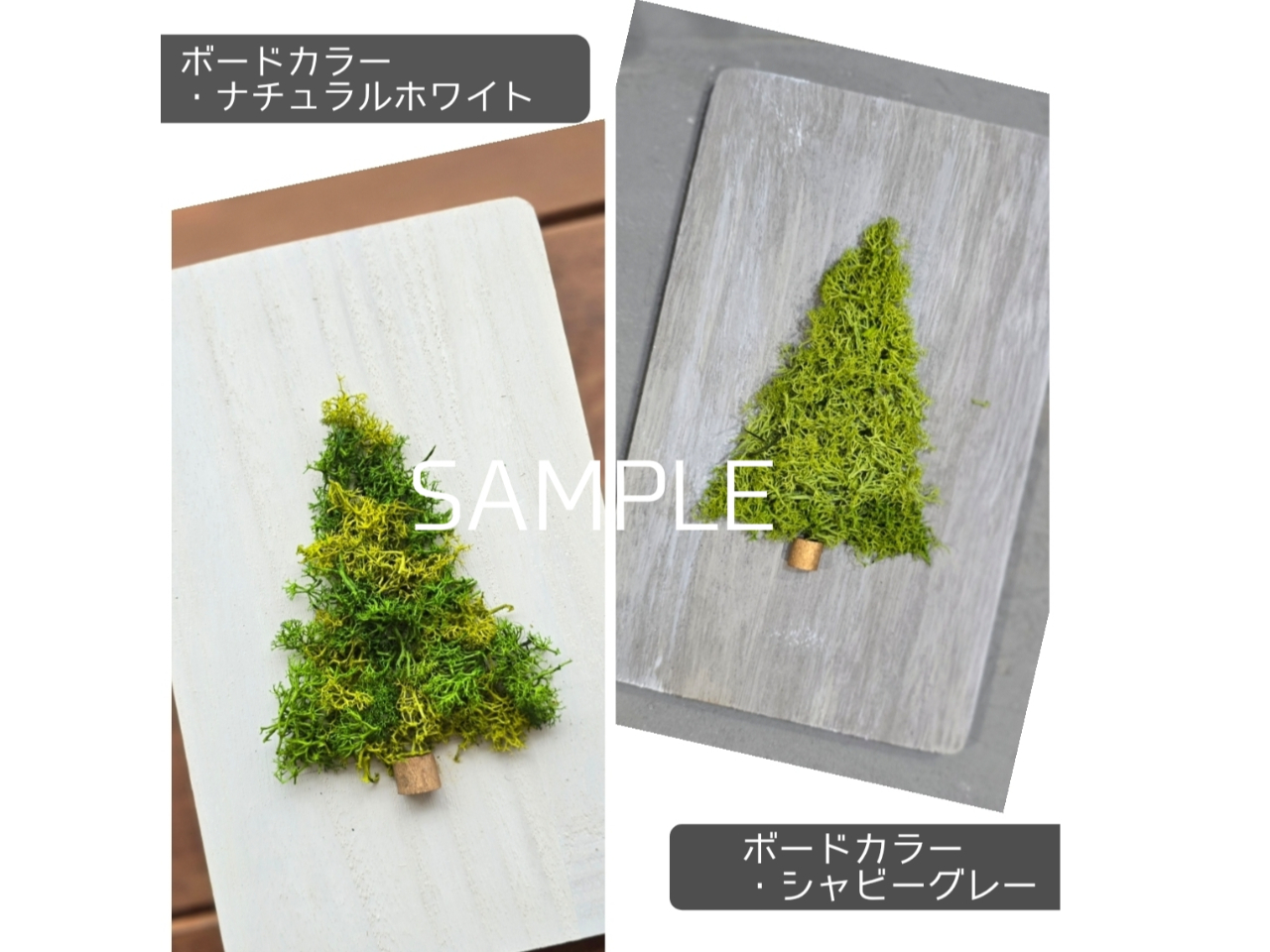 {[h̃J[́Ai`zCgƃVr[O[2F炨Iщ