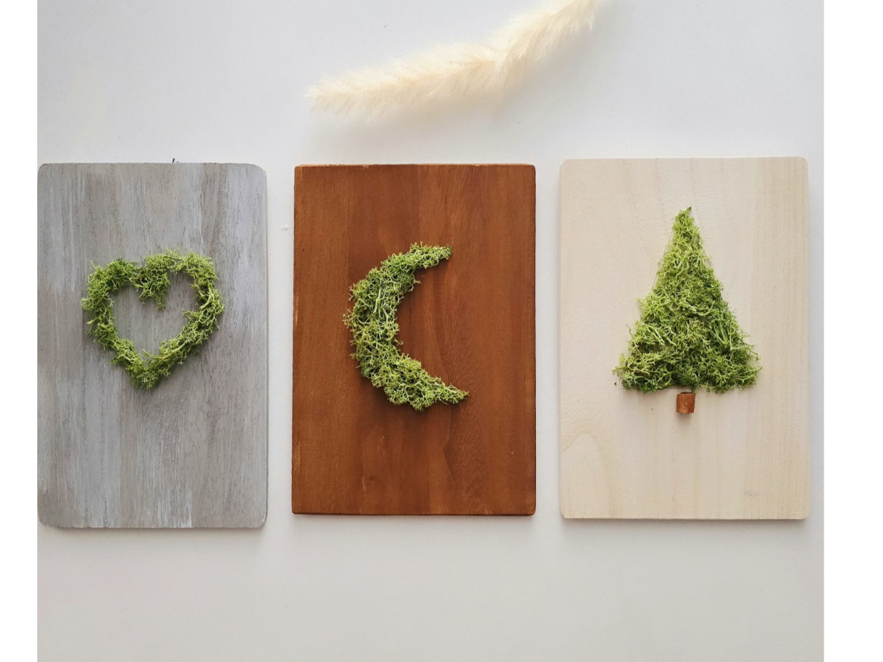 {[hJ[̓i`zCgƃVr[O[AuE3FAfUC̓I[vn[gAOA~̖؂3fUC炨Iщ