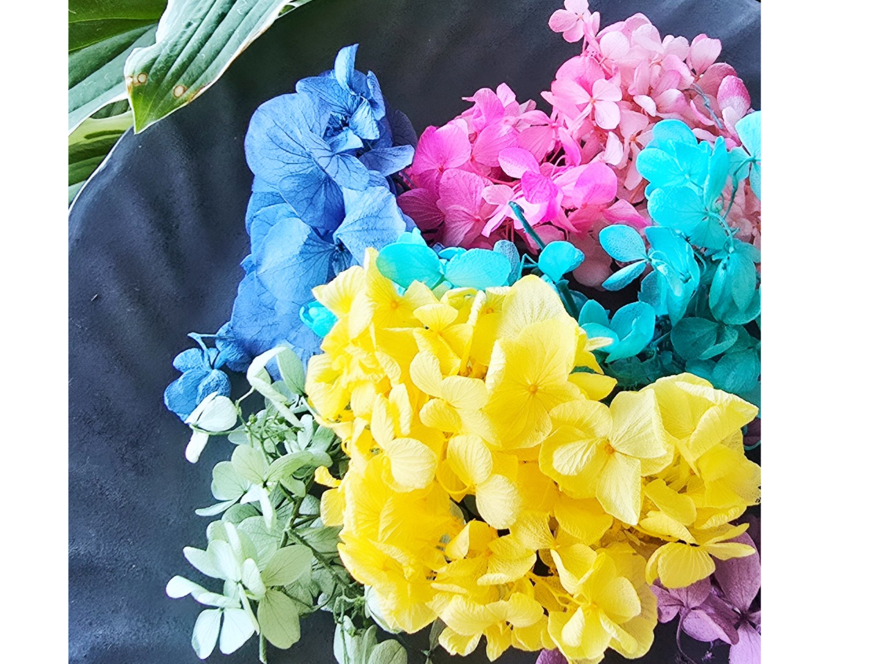 �F�Ƃ�ǂ�̂��Ԃ����p�ӂ��Ă��܂�