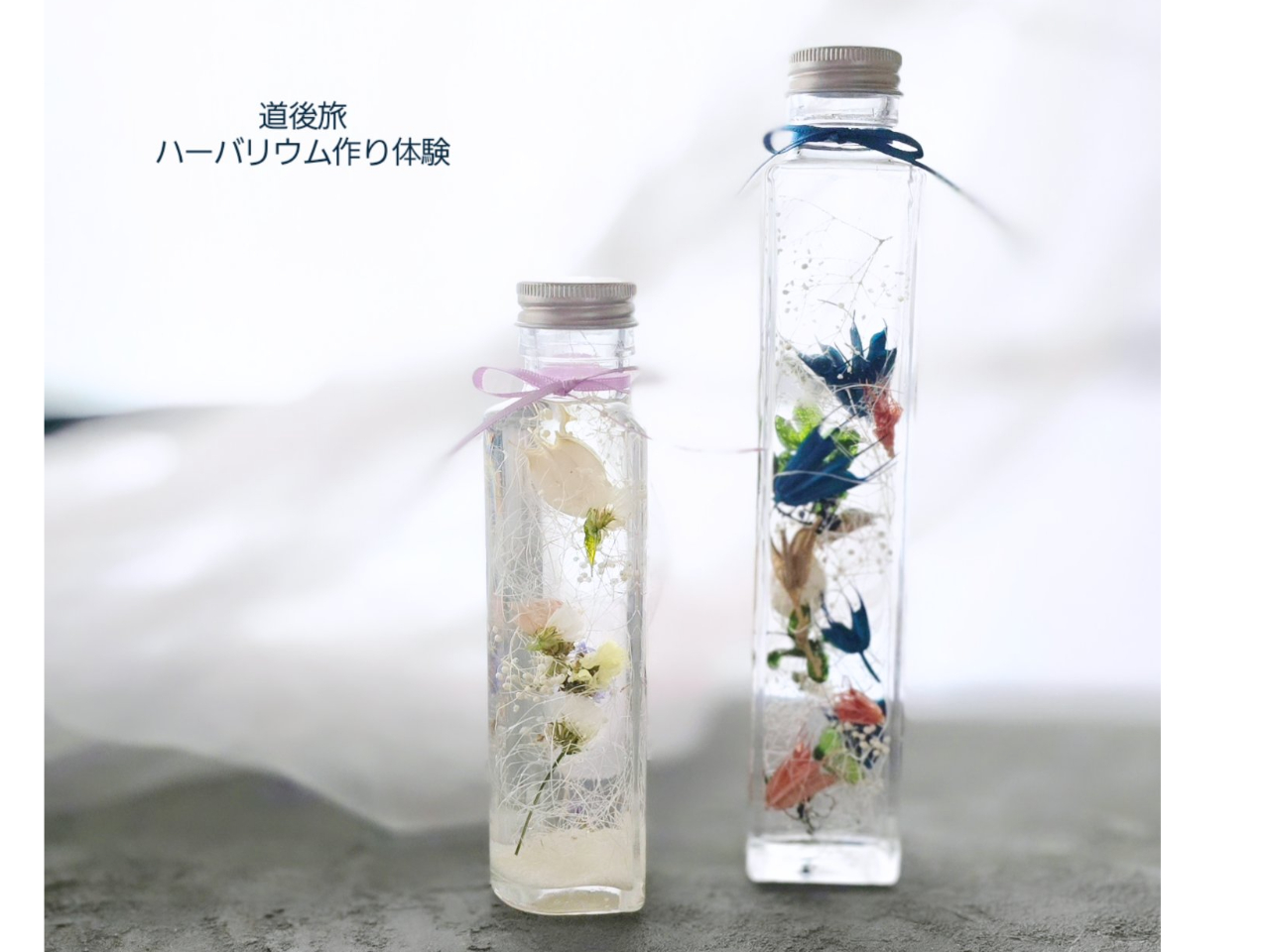 �C�Ɋւ�邨�d��������Ă��邻���ŁA�u���[����ۓI�ȍ�i������ĉ������܂����B